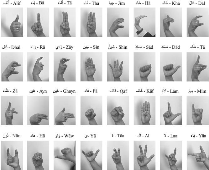 ArASL Arabic sign language dataset sample